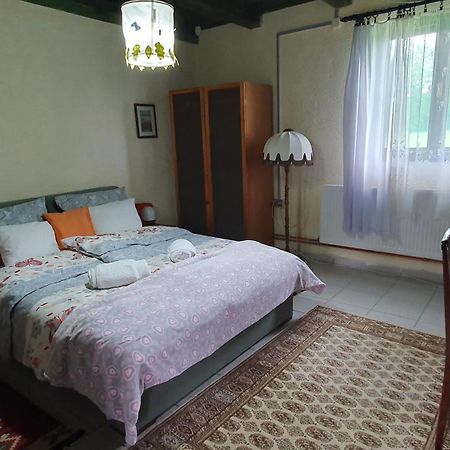Villa Etno Salas - Etno Ranch - Seosko Turisticko Domacinstvo Palić Exterior foto