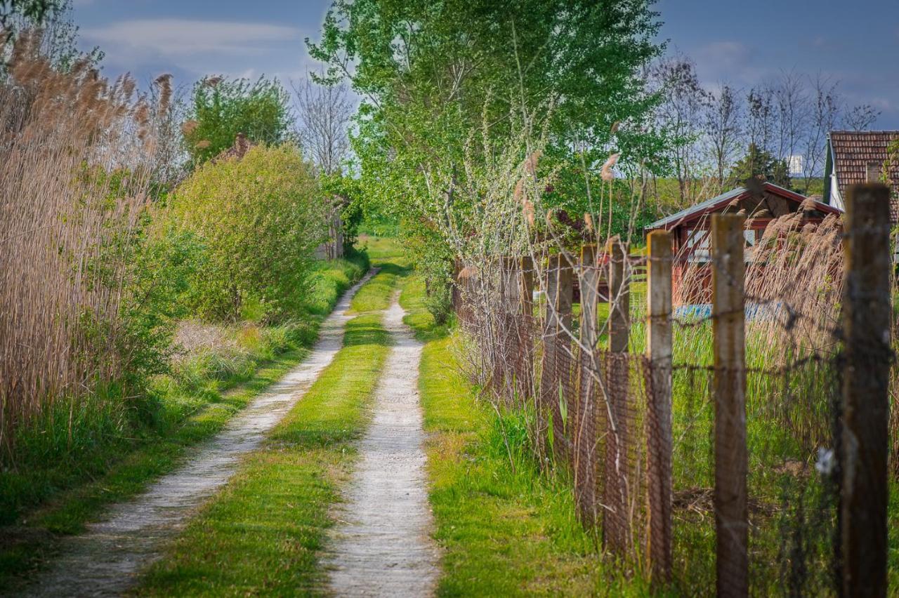 Etno Salas - Etno Ranch - Seosko Turisticko Domacinstvo Palić Exterior foto