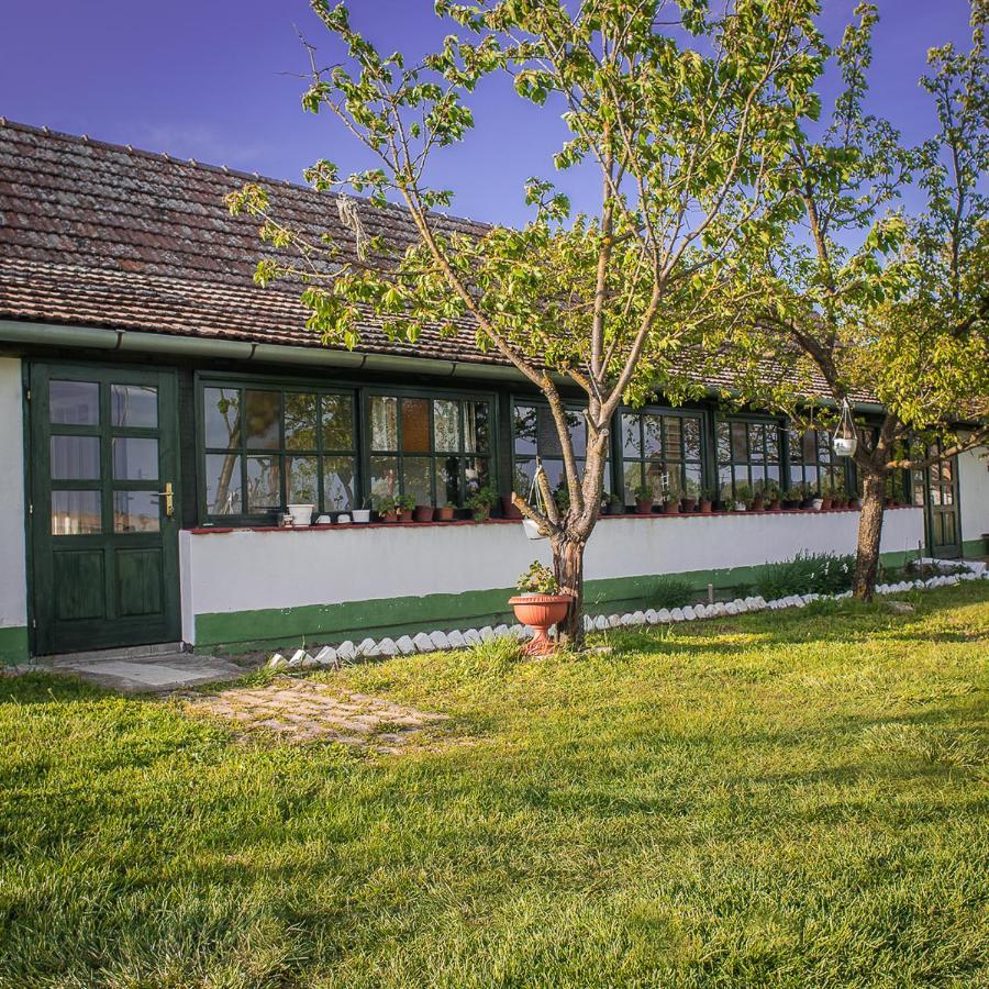 Etno Salas - Etno Ranch - Seosko Turisticko Domacinstvo Palić Exterior foto