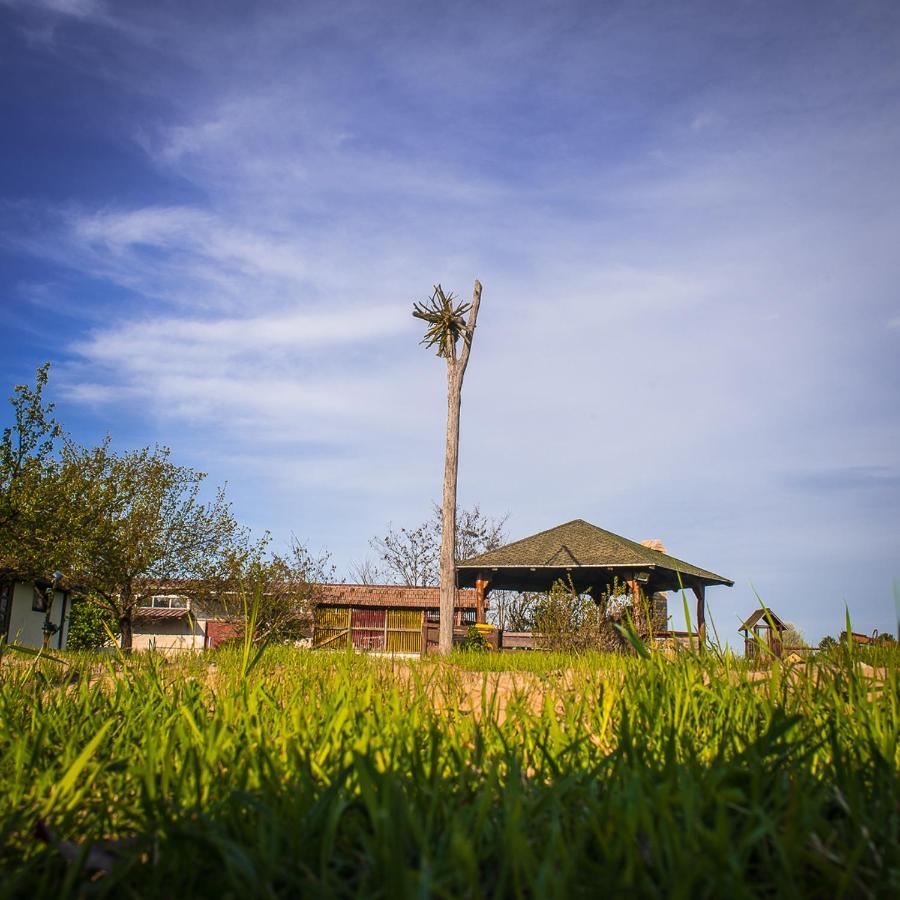 Villa Etno Salas - Etno Ranch - Seosko Turisticko Domacinstvo Palić Exterior foto