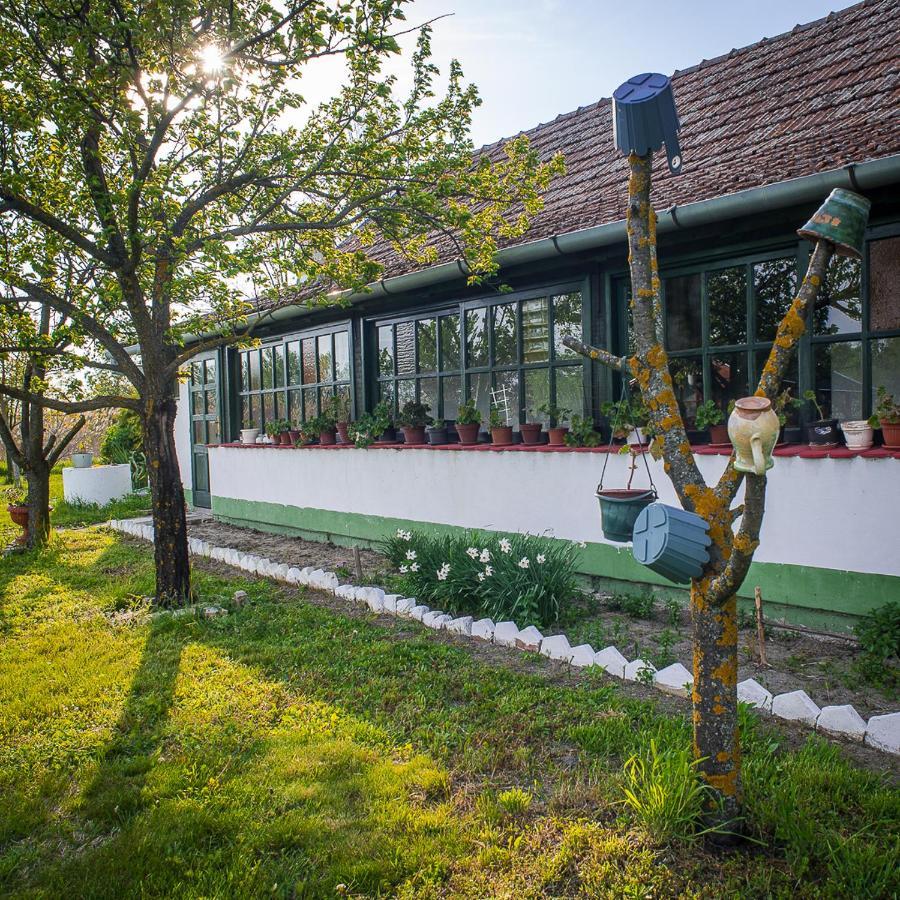 Villa Etno Salas - Etno Ranch - Seosko Turisticko Domacinstvo Palić Exterior foto