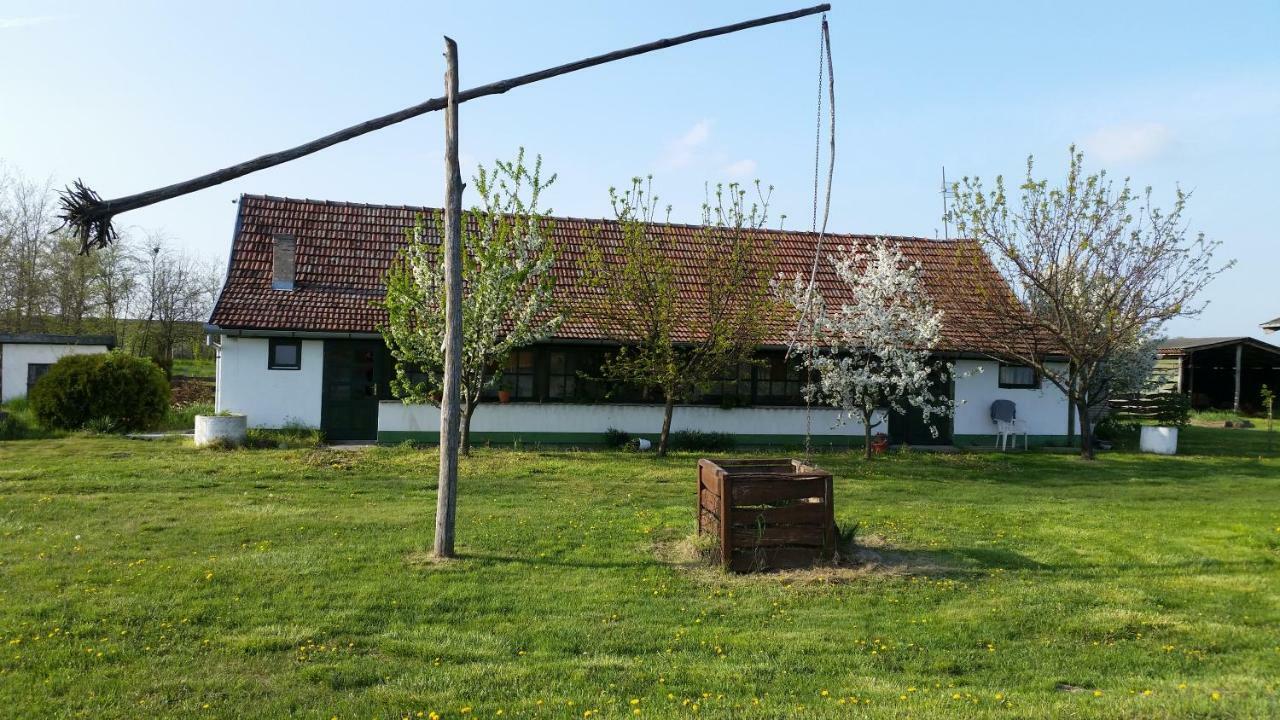 Etno Salas - Etno Ranch - Seosko Turisticko Domacinstvo Palić Exterior foto